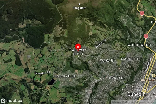 Halfway Bush,Otago Satellite Map