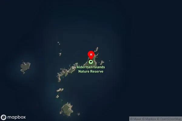 Ruamahuanui Island,Waikato Satellite Map