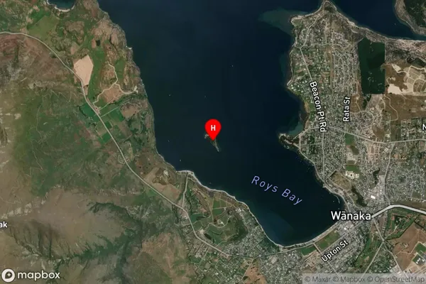 Ruby Island,Otago Satellite Map