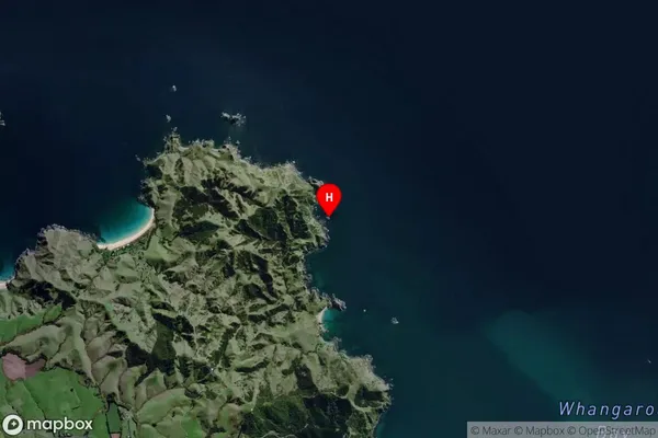 Seal Rock,Northland Satellite Map