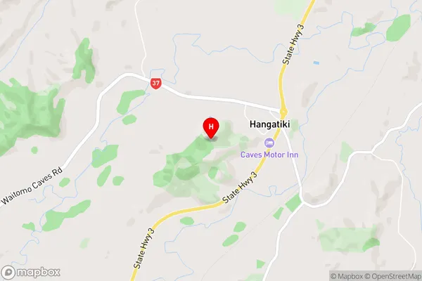 Hangatiki,Waikato Area Map