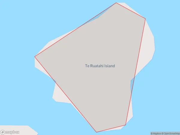 Te Ruatahi Islet, Otago Polygon Area Map