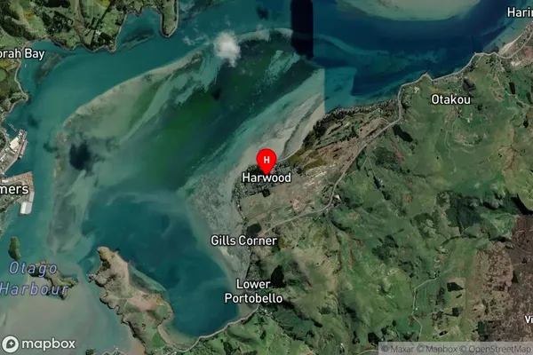 Harwood,Otago Satellite Map