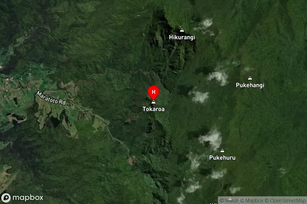 Tokaroa,Waikato Satellite Map