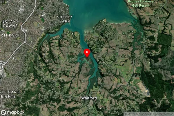 Wade Island,Auckland Satellite Map