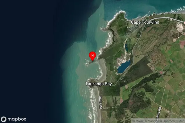Wall Island,West Coast Satellite Map