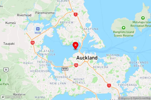 Watchman Island / Te Kakawhakaara,Auckland Region Map