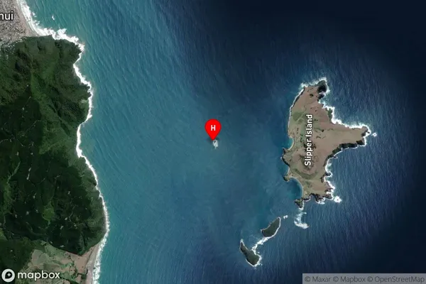 Watchman Rock,Waikato Satellite Map