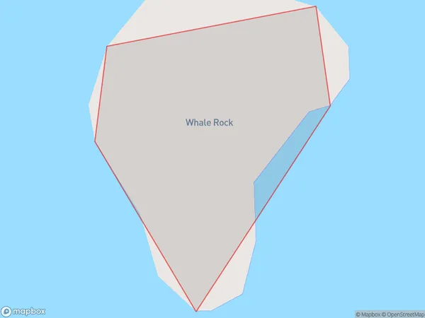 Whale Rock, Waikato Polygon Area Map