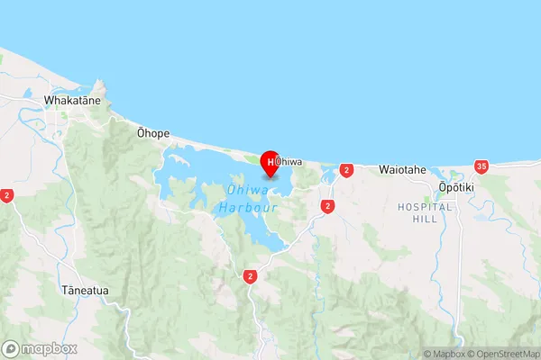 Whangakopikopiko Island,Bay of Plenty Region Map