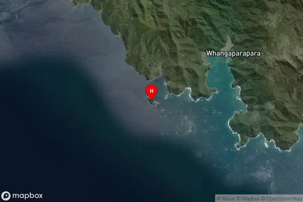 Whangara Island,Auckland Satellite Map