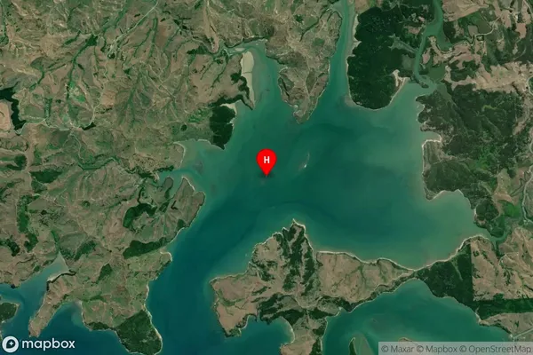 Whatitirinui Island,Waikato Satellite Map
