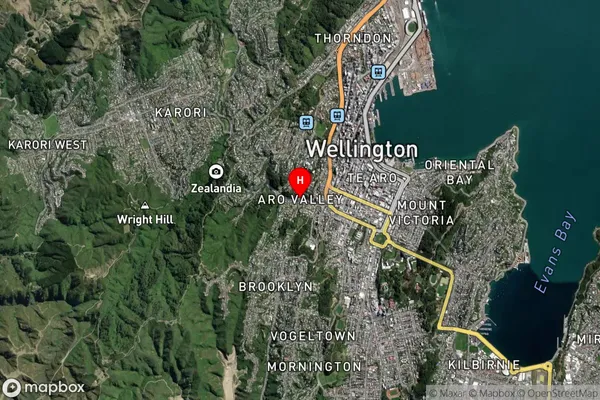 Aro Valley,Wellington Satellite Map