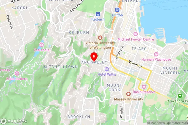 Aro Valley,Wellington Area Map