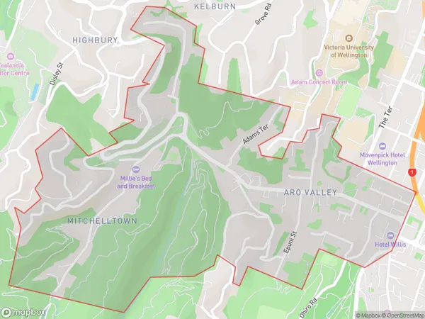 Aro Valley, Wellington Polygon Area Map