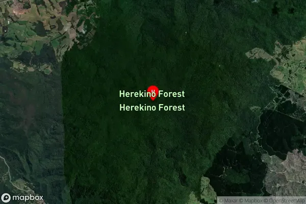 Herekino Forest,Northland Satellite Map