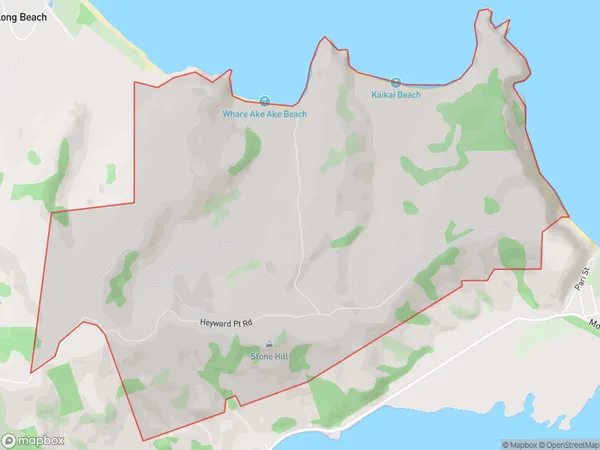 Heyward Point, Otago Polygon Area Map