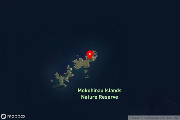 Mokohinau Islands,Auckland Satellite Map