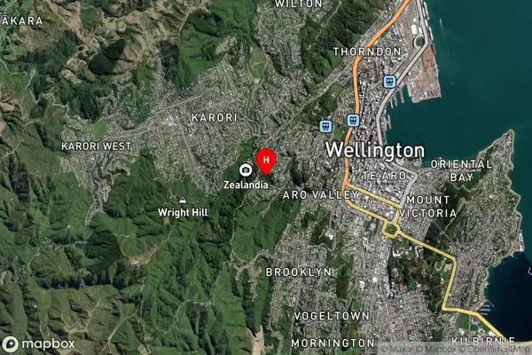 Highbury,Wellington Satellite Map