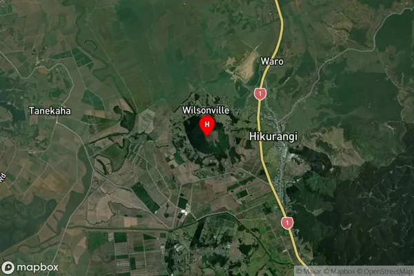 Hikurangi,Northland Satellite Map