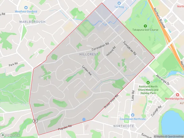 Hillcrest, Auckland Polygon Area Map