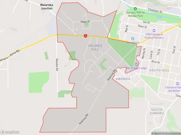 Holmes Hill, Otago Polygon Area Map