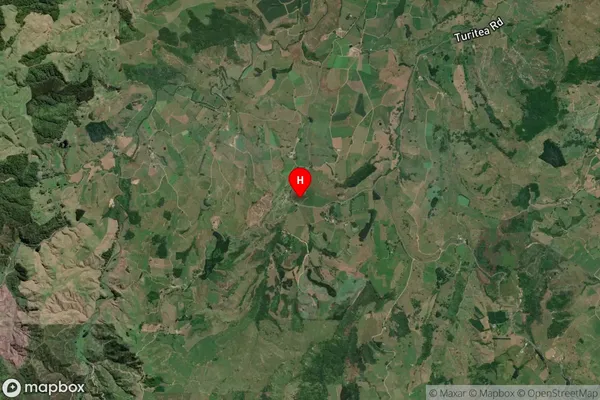 Honikiwi,Waikato Satellite Map