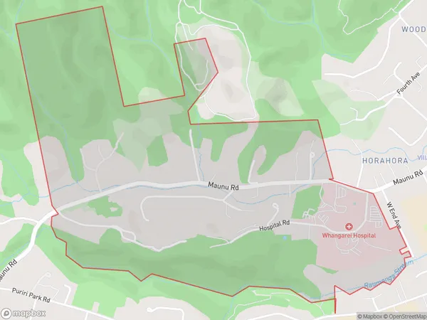 Horahora, Northland Polygon Area Map