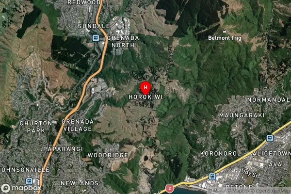 Horokiwi,Wellington Satellite Map