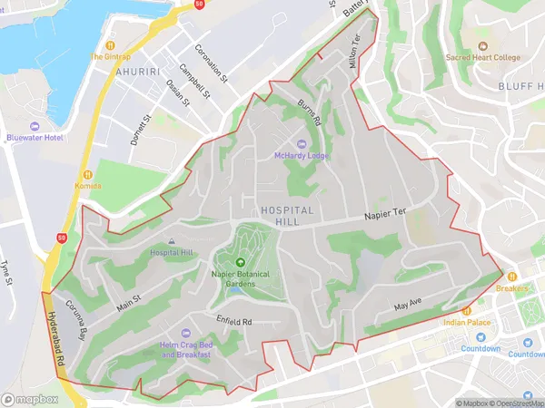 Hospital Hill, Hawke's Bay Polygon Area Map