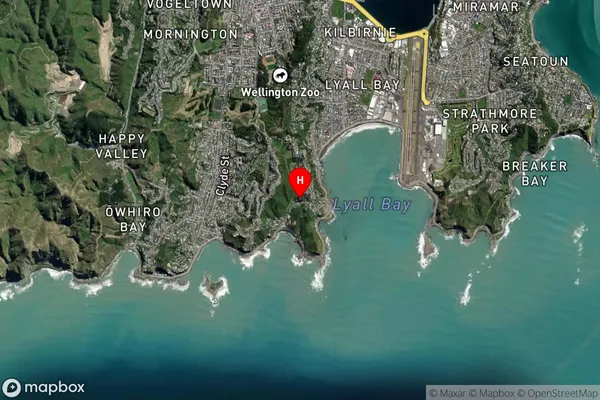 Houghton Bay,Wellington Satellite Map