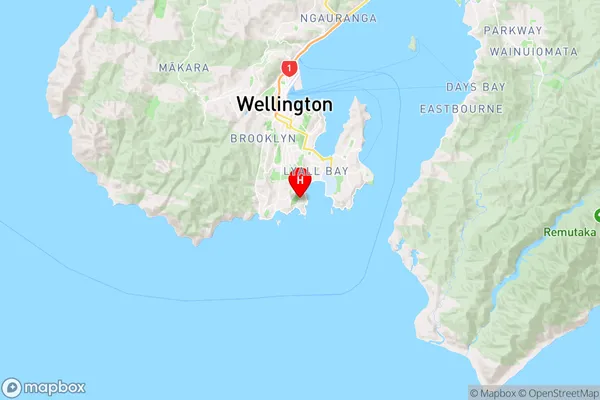 Houghton Bay,Wellington Region Map