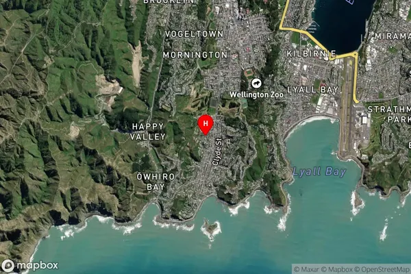 Island Bay,Wellington Satellite Map