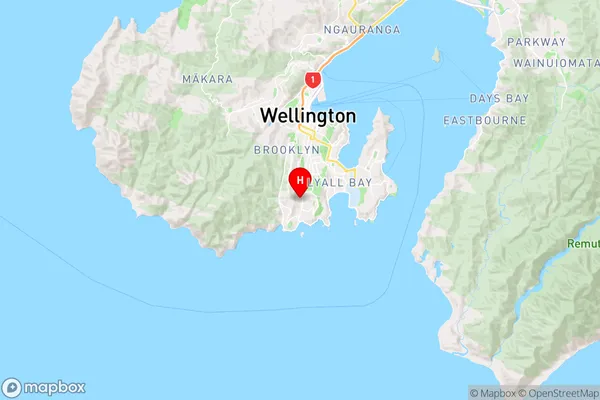 Island Bay,Wellington Region Map