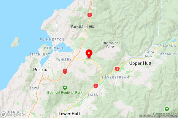 Judgeford,Wellington Region Map