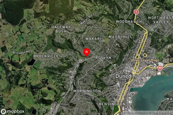 Kaikorai,Otago Satellite Map