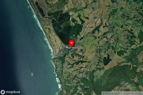 Muriwai,Auckland Satellite Map