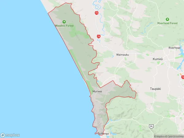 Muriwai, Auckland Polygon Area Map