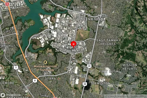 East Tamaki,Auckland Satellite Map