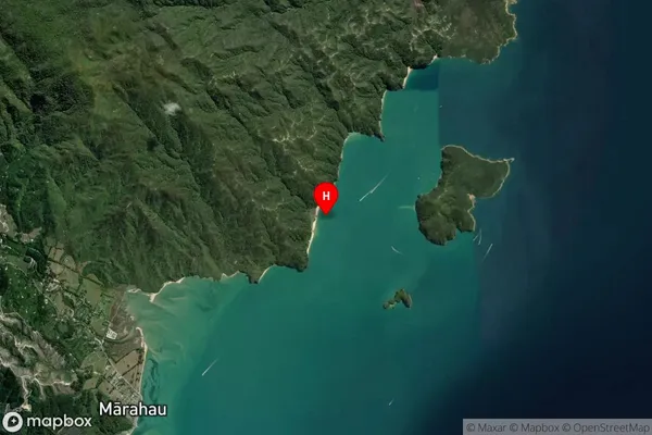 Apple Tree Bay,Tasman Satellite Map