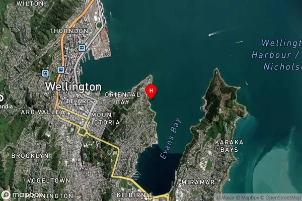 Balaena Bay,Wellington Satellite Map