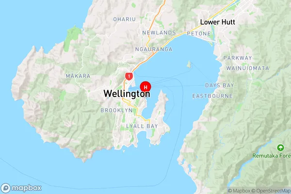 Balaena Bay,Wellington Region Map