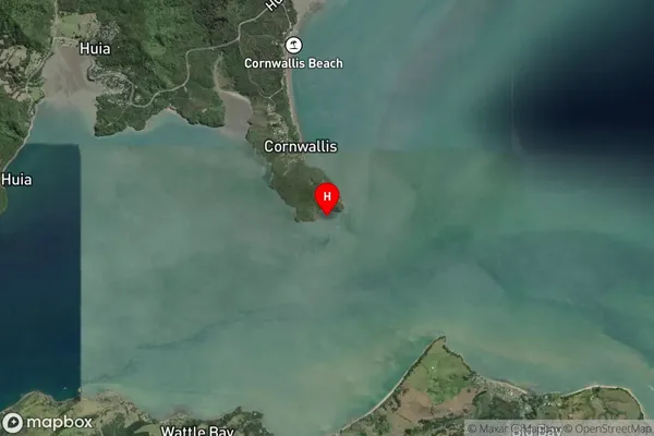 Bigsea Bay,Auckland Satellite Map