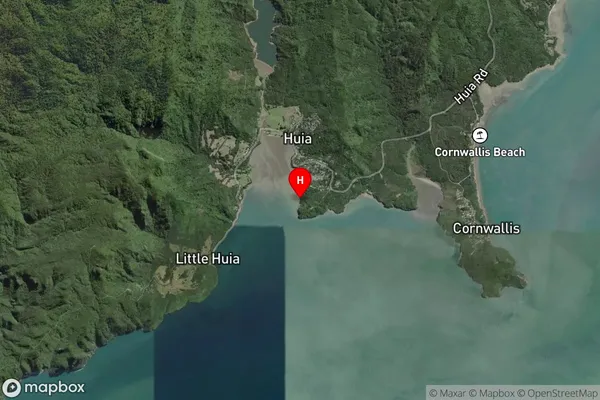 Bryan Bay,Auckland Satellite Map