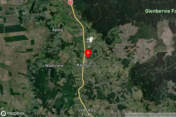 Kauri,Northland Satellite Map