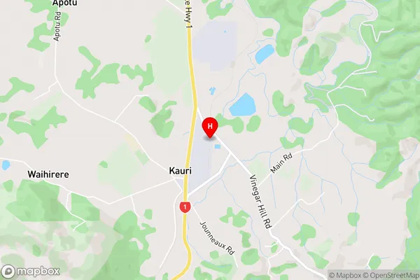 Kauri,Northland Area Map