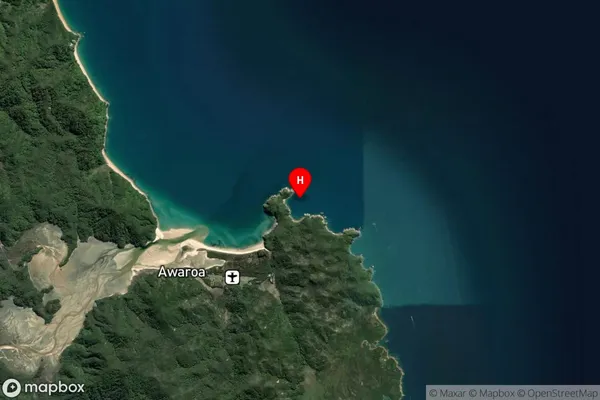 Canoe Bay,Tasman Satellite Map