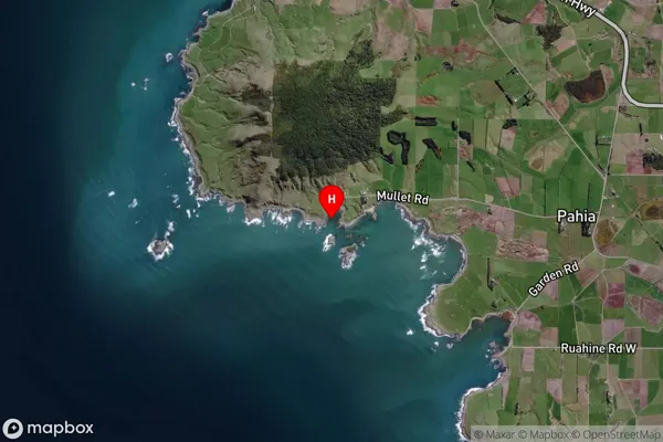 Cosy Nook,Southland Satellite Map