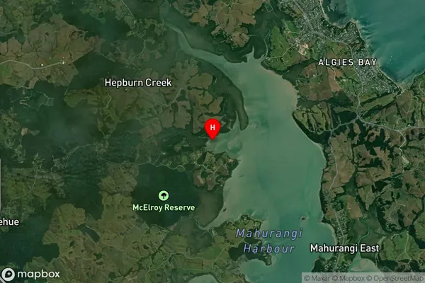 Cowan Bay,Auckland Satellite Map