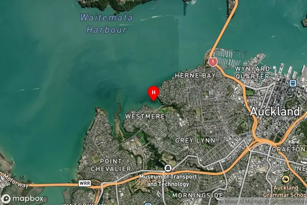 Coxs Bay,Auckland Satellite Map